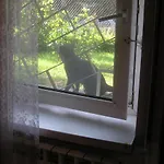 A Mala Kawalerka Samodzielna Halczyna 9 Krakow Alfa