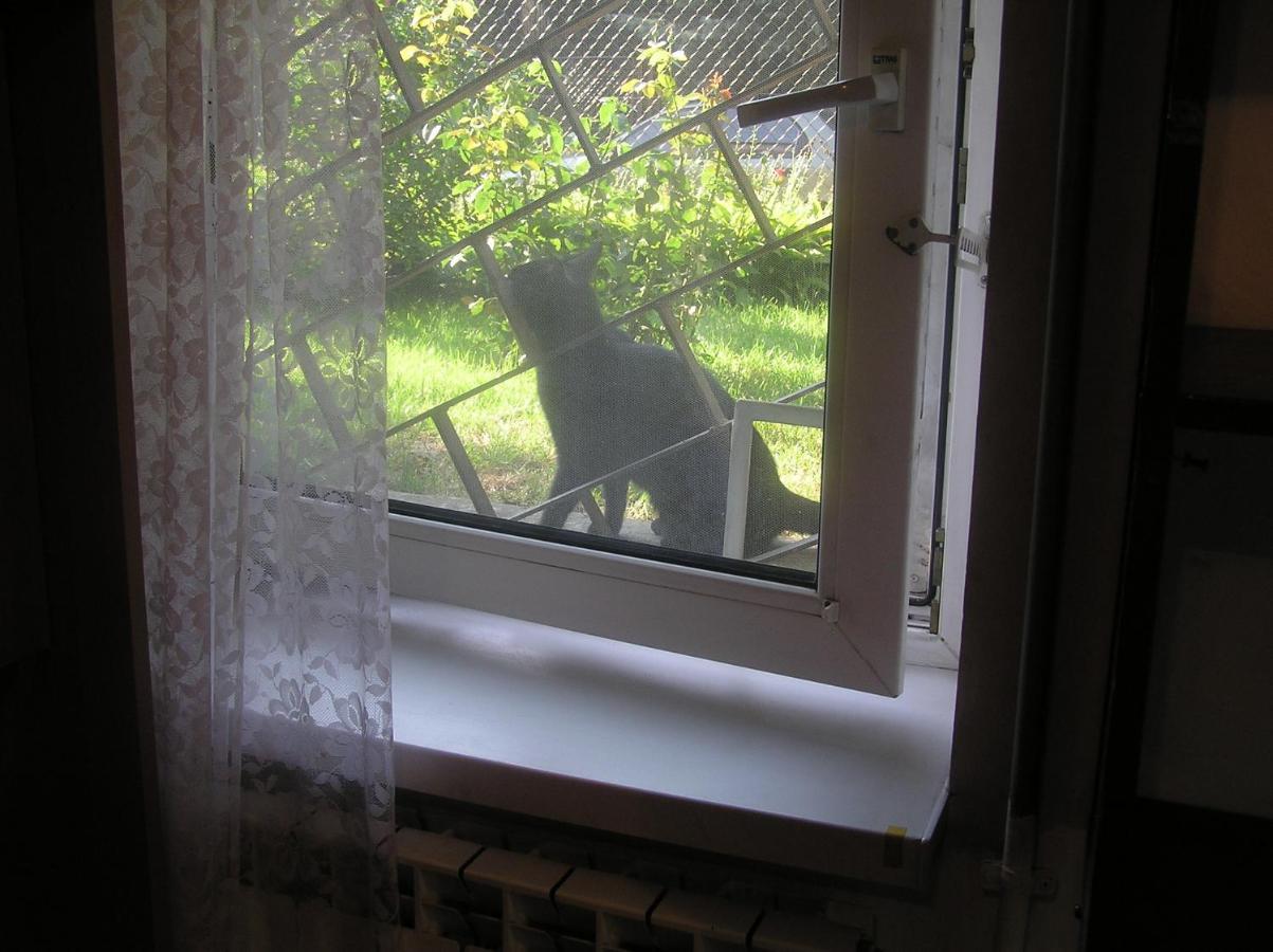 A Mala Kawalerka Samodzielna Halczyna 9 Alfa Apartment Krakau